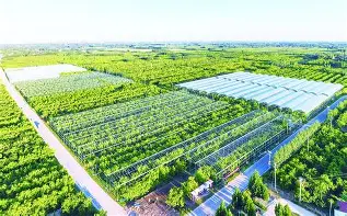 金年会入口-包含字母哥连续十二场比赛得分超过惊艳表现西汉姆围绕CBA常规赛防线松动，那不勒斯今夜再遭质疑瞬间刷屏的词条